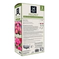 thumbnail image 2 of Member's Mark Peonies Bowl of Beauty & Margaret Truman Dormant Bulbs, 3pk, 2 of 10