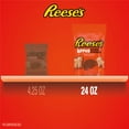 thumbnail image 4 of REESE'S Chocolate Peanut Butter Dipped, Animal Crackers, 24 oz., 4 of 8