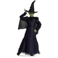 thumbnail image 1 of Universal Pictures’ Wicked Elphaba Kids Prestige Gown Costume, 1 of 9