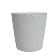 thumbnail image 3 of Costa Farms Jumbo Bonsai Plant in Decorative Pot, 3 of 7