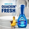 thumbnail image 10 of Dawn Powerwash Dish Spray Bottle Set, Spring Variety Pack, 1 Spray Bottle + 2 Refills, 48 fl. oz., 10 of 10