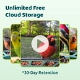 thumbnail image 10 of Birdfy Solar Powered Bird Feeder 2 Pro with AI Camera, 10 of 10