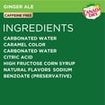 thumbnail image 5 of Canada Dry Ginger Ale Soda 12 fl. oz., 35 pk., 5 of 11