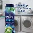 thumbnail image 3 of Downy Infusions In-Wash Scent Booster Beads, Refresh, Birch Water & Botanicals (37.5 oz.), 3 of 6