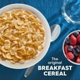 thumbnail image 3 of Kellogg's Special K Original, 18 oz., 3 of 7