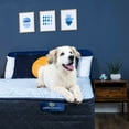thumbnail image 6 of Serta Perfect Sleeper Bleu Moment 13.5" Mattress (Available in Firm and Plush), 6 of 11