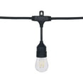 thumbnail image 3 of Honeywell 48' LED Dual Filament Vintage String Lights, 3 of 5