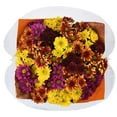 thumbnail image 3 of Member's Mark Fall Flowers Big Bunch, 3 of 5