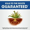 thumbnail image 4 of Roundup Weed and Grass Killer4 Club Bundle with Comfort Wand and 2 Refills, 4 of 10