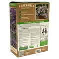 thumbnail image 2 of Member's Mark Clematis - President Plants, 2 of 2