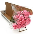 thumbnail image 4 of Member's Mark Mini Carnations, Choose color and stem count, 4 of 5