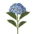 thumbnail image 3 of Member's Mark Hydrangeas, choose color and stem count, 3 of 6