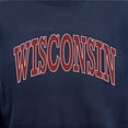 thumbnail image 6 of State of Mine Varsity Arch State Fleece Sweatshirt, 6 of 7