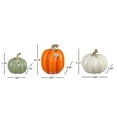 thumbnail image 3 of Member's Mark Decorative Pumpkins, Set of 3, 3 of 3