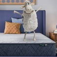thumbnail image 5 of Serta 12" Five Star Mattress Sleepscape Innerspring Mattress, Available in Firm and Plush, 5 of 10