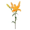 thumbnail image 4 of Member's Mark LA Hybrid Lilies, choose color and stem count, 4 of 8