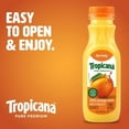 thumbnail image 5 of Tropicana Pure Premium Orange Juice No Pulp, 11 fl. oz., 12 pk., 5 of 8
