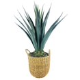 thumbnail image 1 of Artificial 42" Agave in Brown Handwoven Basket, 1 of 5