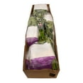 thumbnail image 4 of Member's Mark Illusion Roses, 96 stems, Choose color variety, 4 of 7