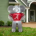 thumbnail image 5 of NCAA Inflatable Team Mascot, 5 of 6