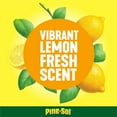 thumbnail image 5 of Pine-Sol All Purpose Multi-Surface Cleaner, Lemon Fresh 100 fl. oz./bottle, 2 pk., 5 of 9