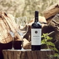 thumbnail image 3 of Trapiche Medalla Cabernet Sauvignon 750 ml, 3 of 4