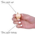 thumbnail image 8 of Member's Mark Peony and Nectaroscordum Dormant Bulbs, 22pk, 8 of 10