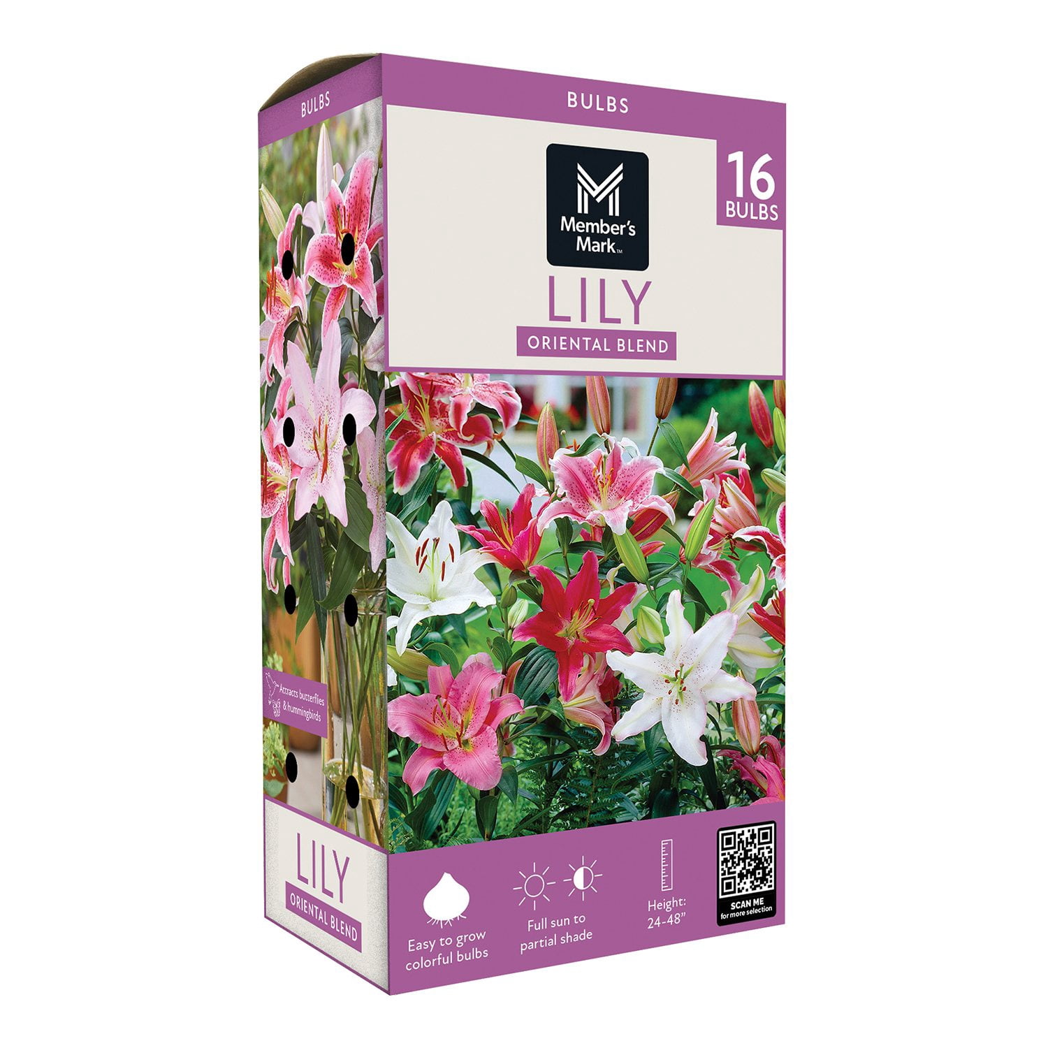 Lily様オーダー Member's Mark Lily Oriental Stargazer Dormant Bulbs, 16pk