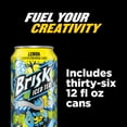 thumbnail image 4 of Lipton Brisk Lemon Iced Tea 12 fl. oz., 36 pk., 4 of 4