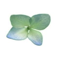 thumbnail image 3 of Member's Mark Hydrangeas, choose color and stem count, 3 of 4