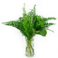 thumbnail image 1 of Member's Mark Just Add Blooms Greenery Bouquets, 15 bunches (Choose variety), 1 of 2