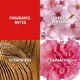 thumbnail image 4 of Giorgio Beverly Hills Red Eau de Toilette, 3  fl oz, 4 of 6