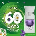 thumbnail image 4 of Air Wick Plug In Scented Oil Air Fresheners,  Lavender & Chamomile, 2 warmers + 8 refills, 4 of 12