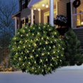 thumbnail image 1 of Member's Mark 120ct Twinkling LED Net Light, 6' x 4' Lighted Area, 1 of 6