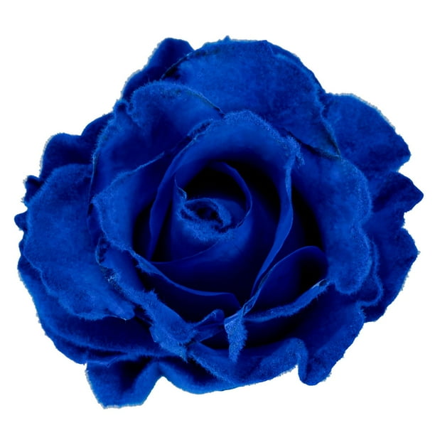 Member's Mark Farm Fresh Velvet Roses, choose color and stem count