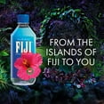 thumbnail image 6 of FIJI Natural Artesian Water, 16.9 fl. oz., 24 pk., 6 of 9