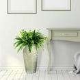 thumbnail image 6 of Faux 26" Fern and Eucalyptus Mix in Black Plastic Pot, 6 of 7