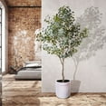 thumbnail image 4 of Faux 8' Eucalyptus Tree in Oversized Ceramic Pot, 4 of 6