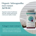 thumbnail image 6 of Youtheory Ashwagandha Gummies, Mixed Berry, 150 ct., 6 of 7
