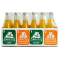 thumbnail image 5 of Jarritos Club Pack Variety Pack, 12.5 fl. oz., 24 pk., 5 of 6