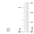 thumbnail image 6 of 0.70 CT. T.W. Round Diamond Stud Earrings in 14K Gold, 6 of 8