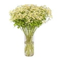 thumbnail image 2 of Member's Mark Chamomile Matricaria, choose stem count, 2 of 6