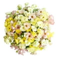 thumbnail image 1 of Member's Mark Butterfly Ranunculus, choose stem count, 1 of 3