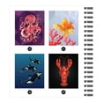 thumbnail image 3 of Brain Games - Sticker by Number: Under the Sea by Brain Games, Spiral Bound, 3 of 4