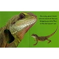 thumbnail image 3 of Touch and Feel Box Set, Board Books, 3 of 4