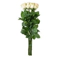 thumbnail image 5 of Member's Mark Ecuadorian Premium Roses, choose color variety and stem count, 5 of 9