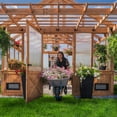 thumbnail image 2 of Backyard Discovery 13' x 11' Traditional Cedar Greenhouse - DIY, 2 of 16