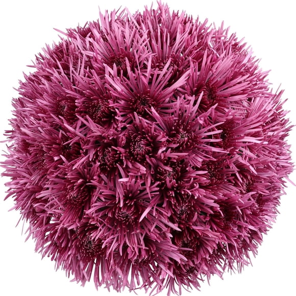 Member's Mark Spider Mums, choose color and stem count