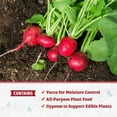 thumbnail image 4 of Back to the Roots Organic Raised Bed Soil Mix Premium Blend, 1.5 cu. ft., 4 of 9