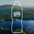thumbnail image 5 of Poland Spring 100% Natural Spring Water, 16.9 fl. oz., 40 pk., 5 of 9